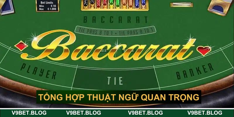 Tổng hợp thuật ngữ quan trọng Tổng hợp thuật ngữ quan trọng