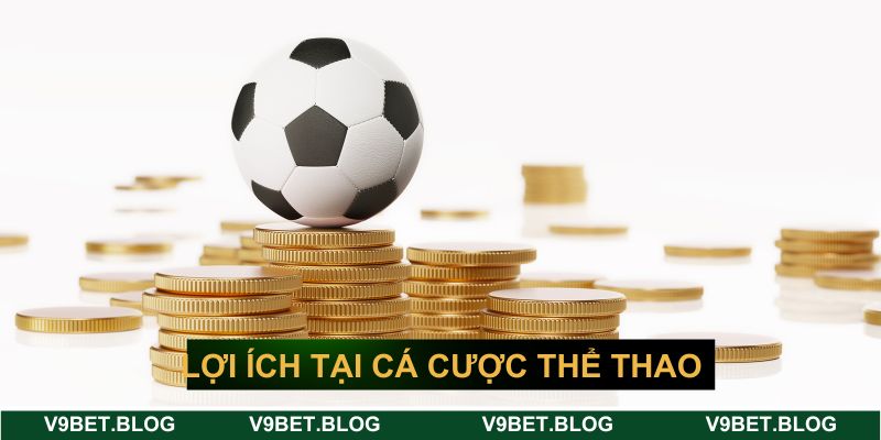 Lợi ích đặc biệt tại cá cược thể thao trực tuyến Lợi ích đặc biệt tại cá cược thể thao trực tuyến
