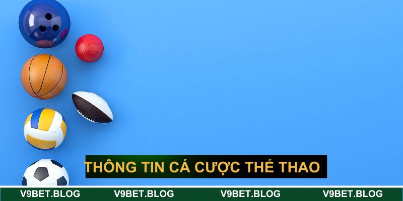 Thông tin về cá cược thể thao trực tuyến tại V9bet Thông tin về cá cược thể thao trực tuyến tại V9bet