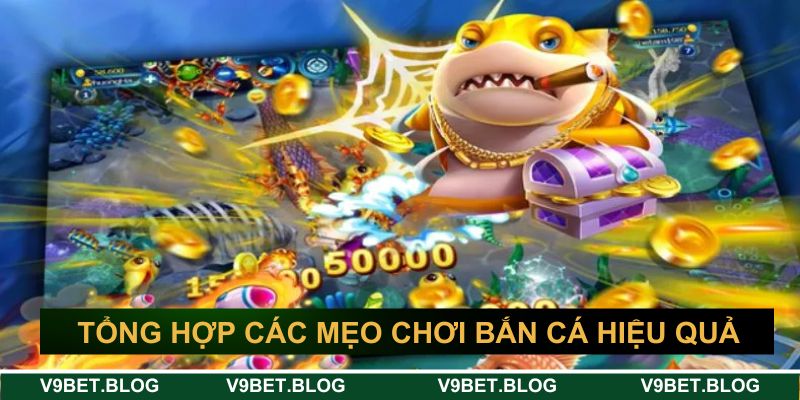 Tổng hợp các mẹo cược bắn cá hiệu quả Tổng hợp các mẹo cược bắn cá hiệu quả