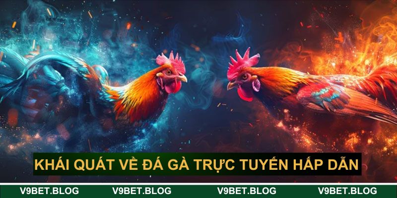 Khái quát về đá gà trực tuyến hấp dẫn V9bet Khái quát về đá gà trực tuyến hấp dẫn V9bet