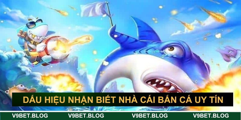 Dấu hiệu nhận biết sân chơi uy tín hàng đầu Dấu hiệu nhận biết sân chơi uy tín hàng đầu