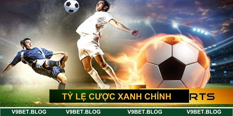 Tỷ lệ cược thể thao xanh chín Tỷ lệ cược thể thao xanh chín