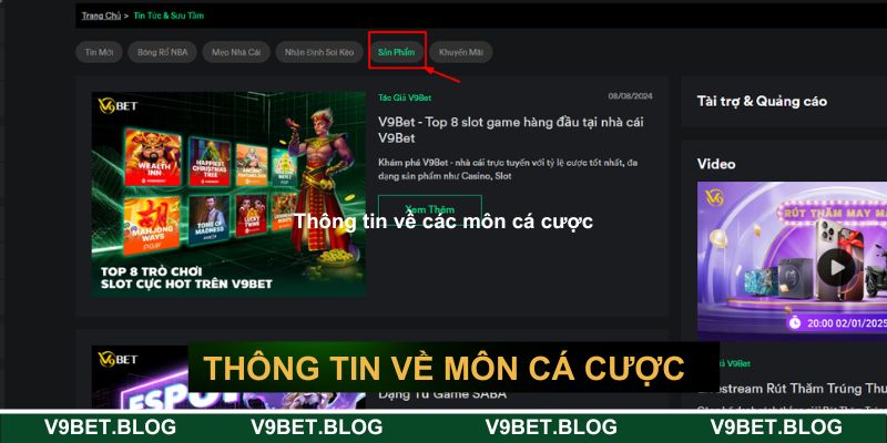 Thông tin về các môn cá cược tại nền tảng Thông tin về các môn cá cược tại nền tảng