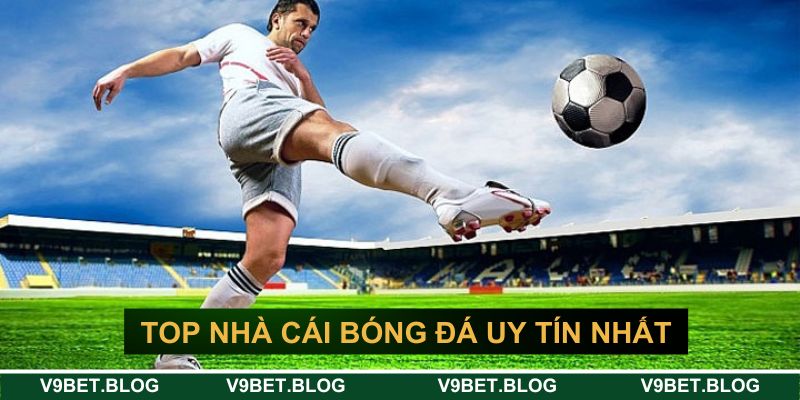 top nhà cái bóng đá uy tín nhất