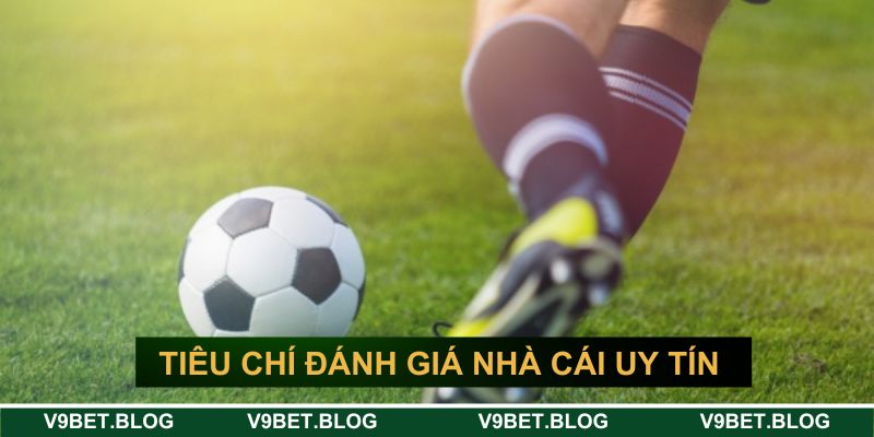 Tiêu chí để đánh giá top nhà cái bóng đá uy tín nhất Tiêu chí để đánh giá top nhà cái bóng đá uy tín nhất