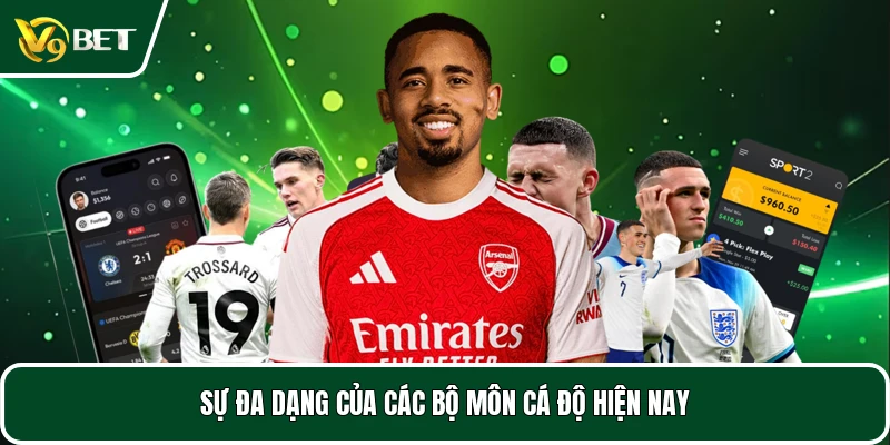 Sự đa dạng của các bộ môn cá độ hiện nay